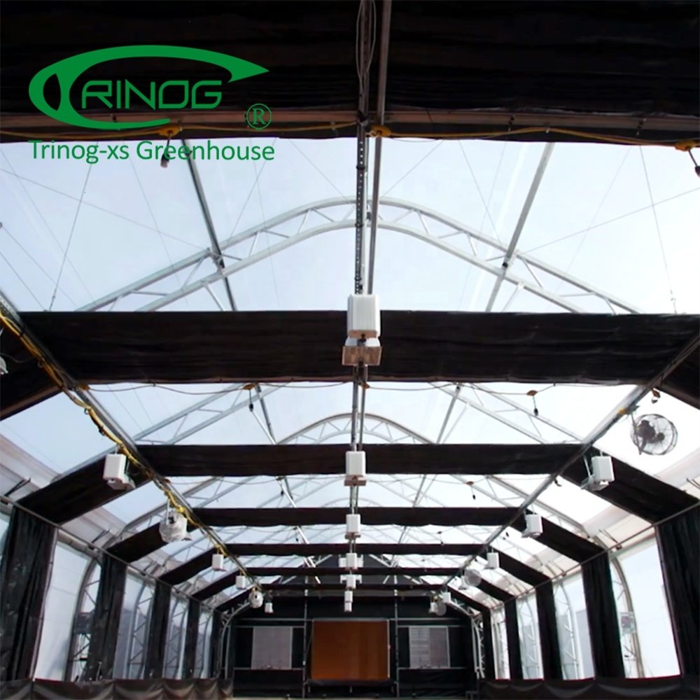 Trinog Designed Commercial Auto LED Light Deprivation Greenhouse Structure Single-span Agricultural Greenhouses Single Layer