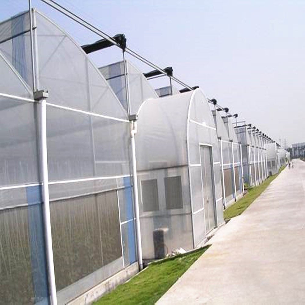 Large Size Low Cost High Tunnel Agricultural Greenhouse film for tomato growing vegetable