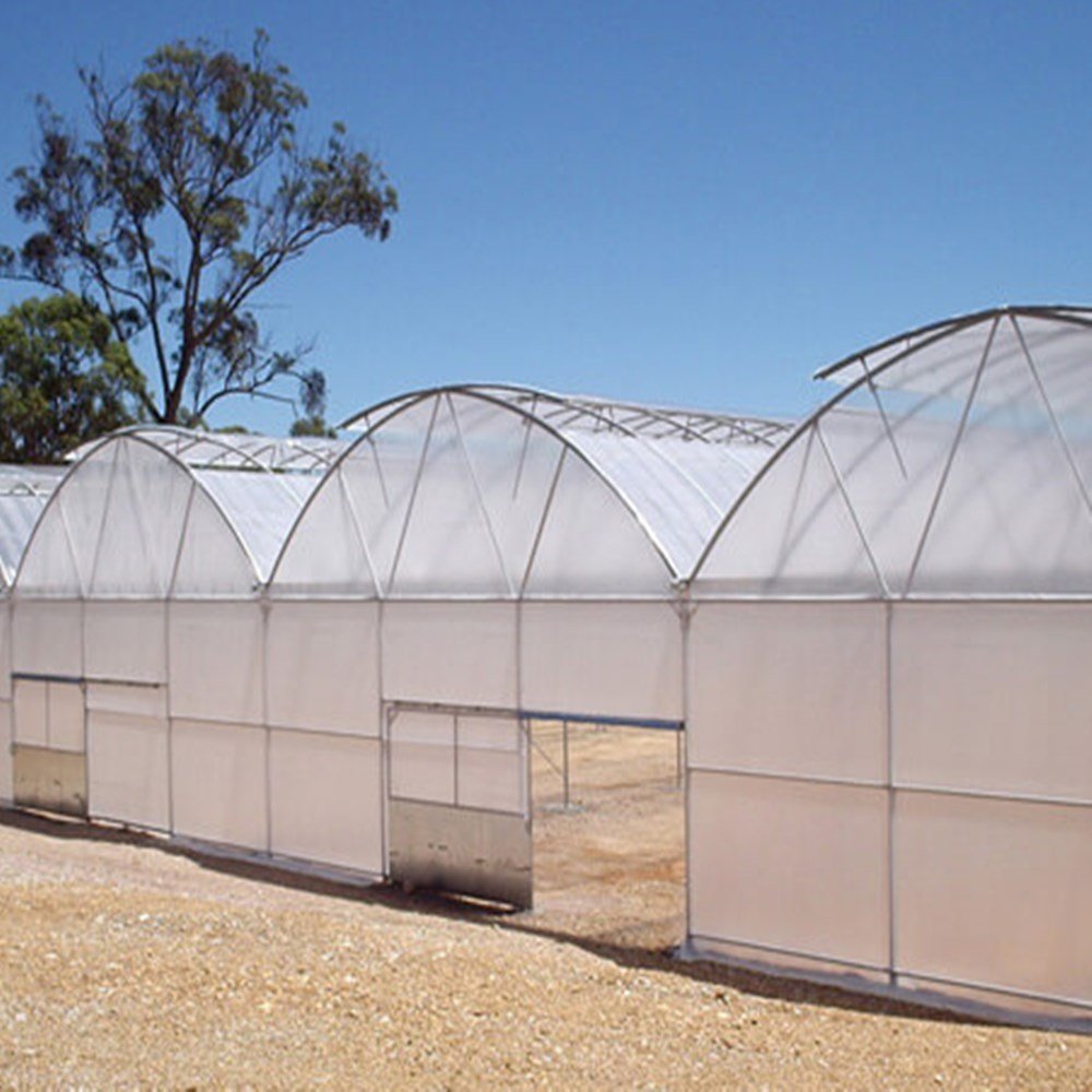 Large Size Low Cost High Tunnel Agricultural Greenhouse film for tomato growing vegetable