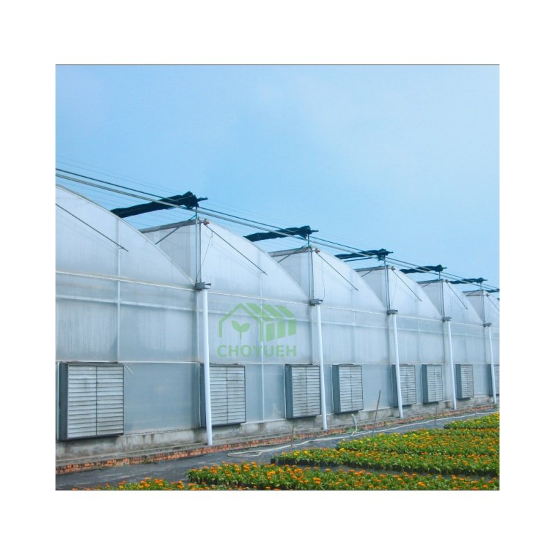 Factory made cheap price multi span greenhouse for agriculture tomato strawberry
