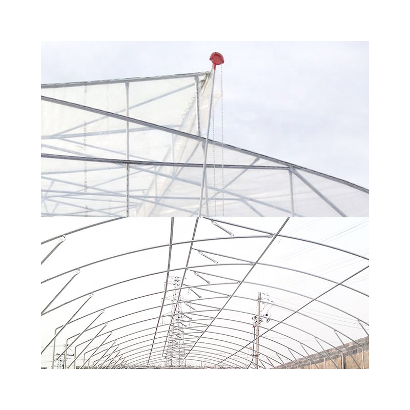 high performance hot temperature area greenhouse good ventilation green house tropical low cost other technical planting houses