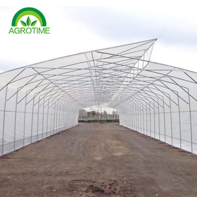 high performance hot temperature area greenhouse good ventilation green house tropical low cost other technical planting houses