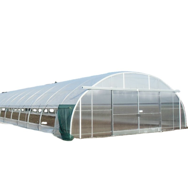 CHOYUEH single span greenhouse agricultural plastic film greenhouse poly tunnel greenhouse for tomatoes
