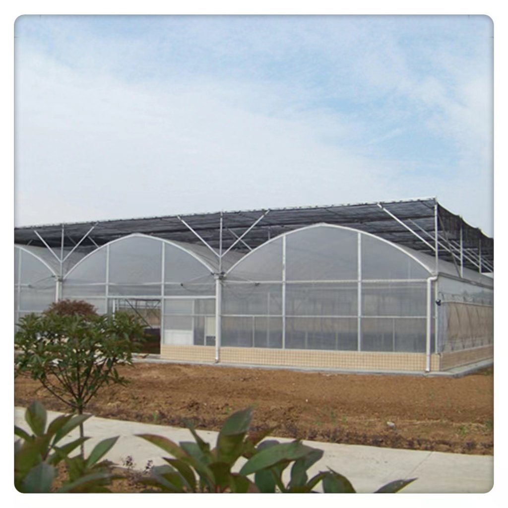 Large Agricultural Multi-Span Greenhouse with Double PE Layer Square Pattern Steel Frame at Low Price