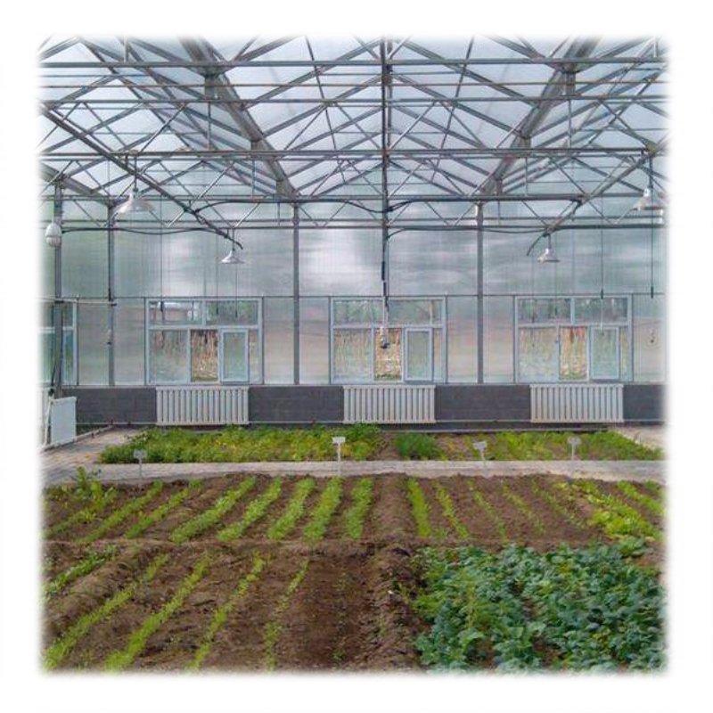 Agriculture Smart Glass Multi-span Greenhouse Equipped With Hydroponic Aquaponics System