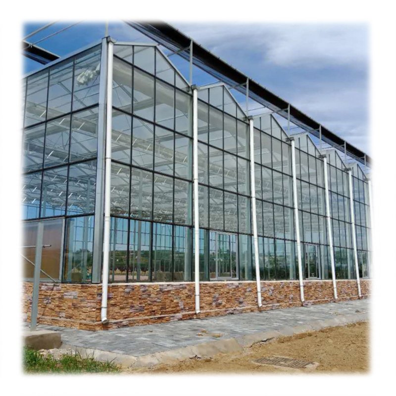 Agriculture Smart Glass Multi-span Greenhouse Equipped With Hydroponic Aquaponics System