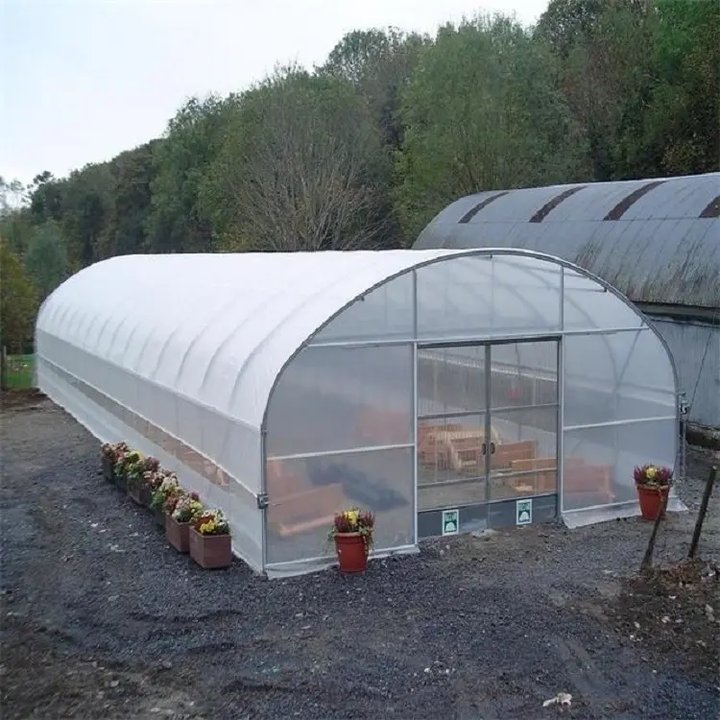 Large Plastic Agricultural Greenhouse Tunnel Vegetable Greenhouses for sale