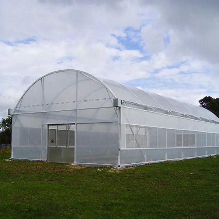 Large Plastic Agricultural Greenhouse Tunnel Vegetable Greenhouses for sale