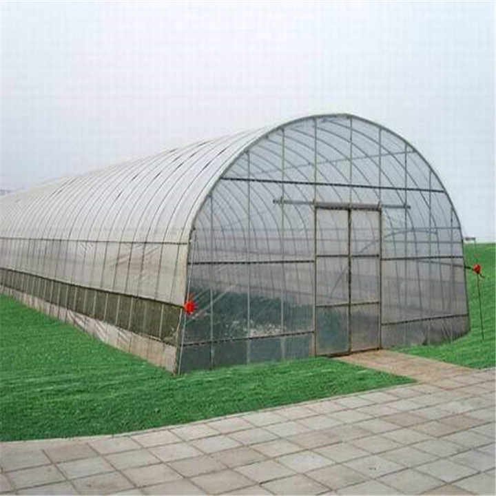 Large Plastic Agricultural Greenhouse Tunnel Vegetable Greenhouses for sale
