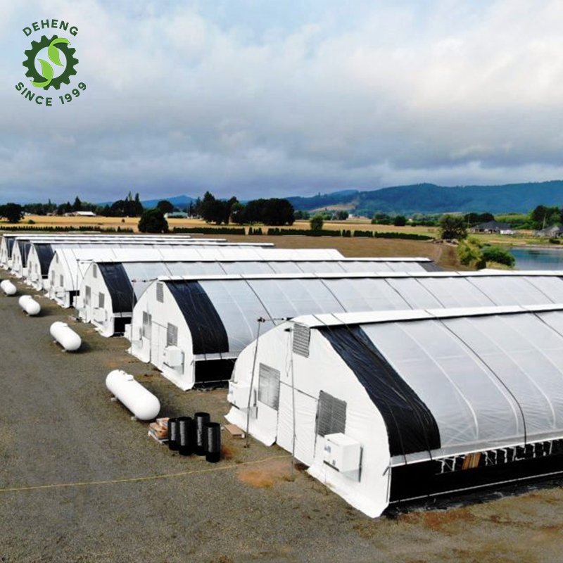 New Arrival Multi-Functional Environmental Protection Planting Greenhouse Tight Agricultural Light Deprivation Greenhouse