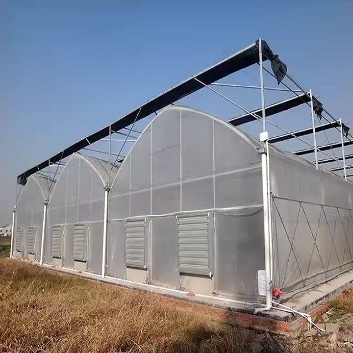 Green House Plastic Agricultural Commercial Mushroom Polycarbonate Greenhouse Tunnel Grow Tunnel Multi span Greenhouse for Sale