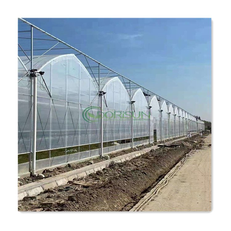 Green House Plastic Agricultural Commercial Mushroom Polycarbonate Greenhouse Tunnel Grow Tunnel Multi span Greenhouse for Sale