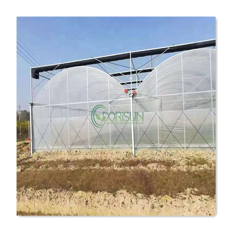 Green House Plastic Agricultural Commercial Mushroom Polycarbonate Greenhouse Tunnel Grow Tunnel Multi span Greenhouse for Sale