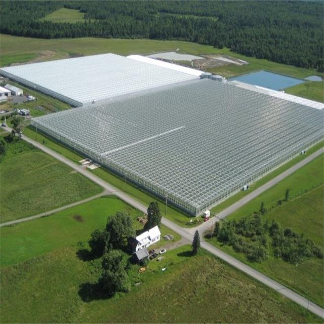 Smart Glass Greenhouse Commercial Hydroponic High Wind Roll Up Motor For Ventilation Fully Automated Greenhouse Structure