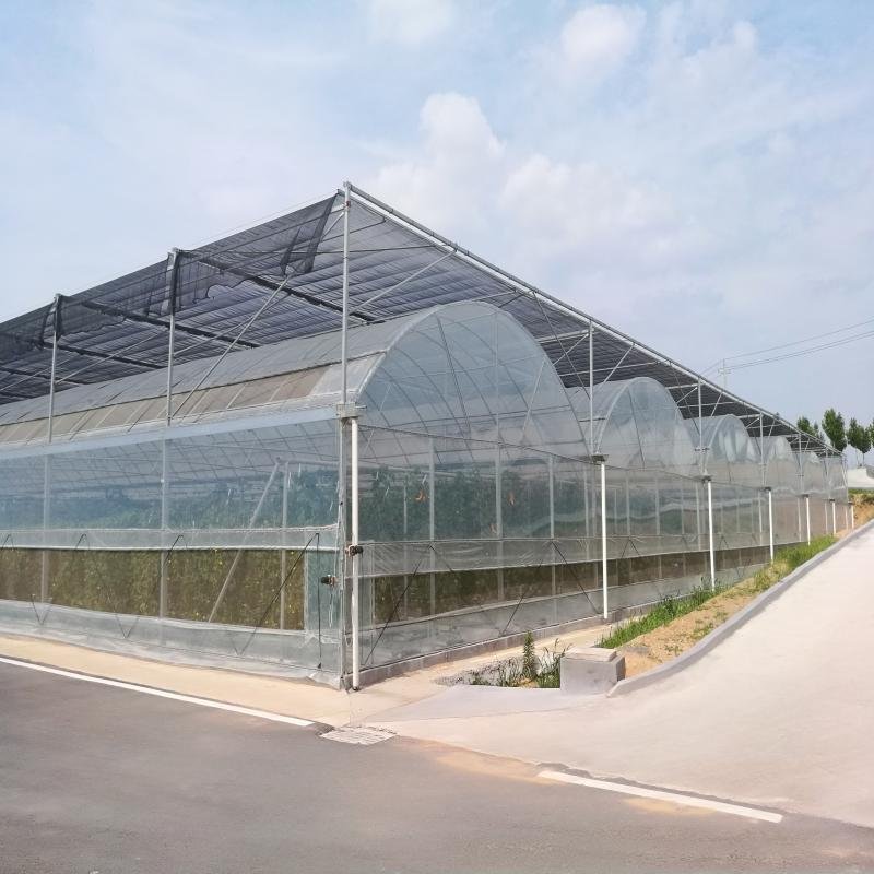 The Cheapest Agricultural/Commercial/Industrial Plastic Film Greenhouse With Complete Systems For Sale