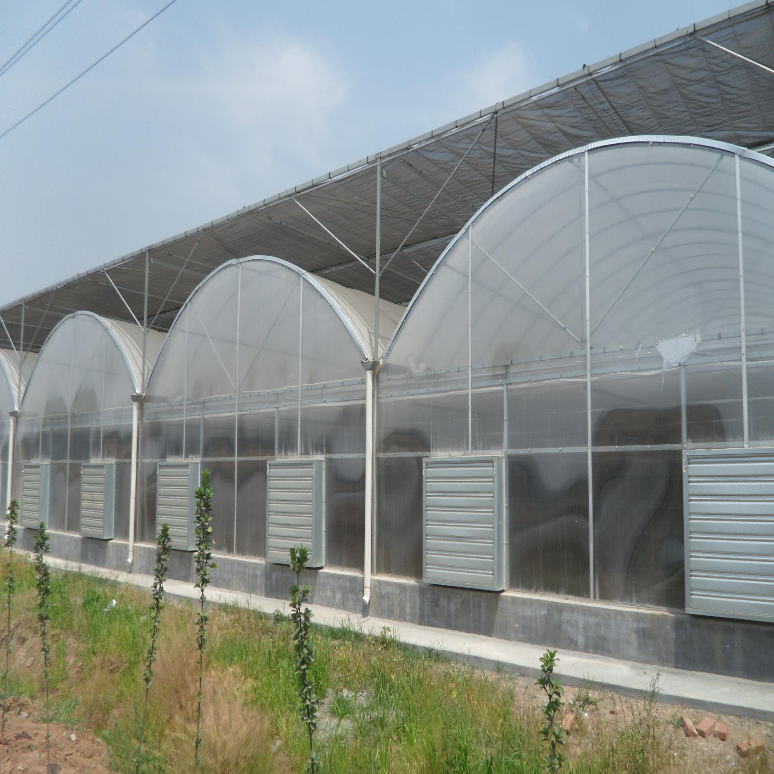 The Cheapest Agricultural/Commercial/Industrial Plastic Film Greenhouse With Complete Systems For Sale