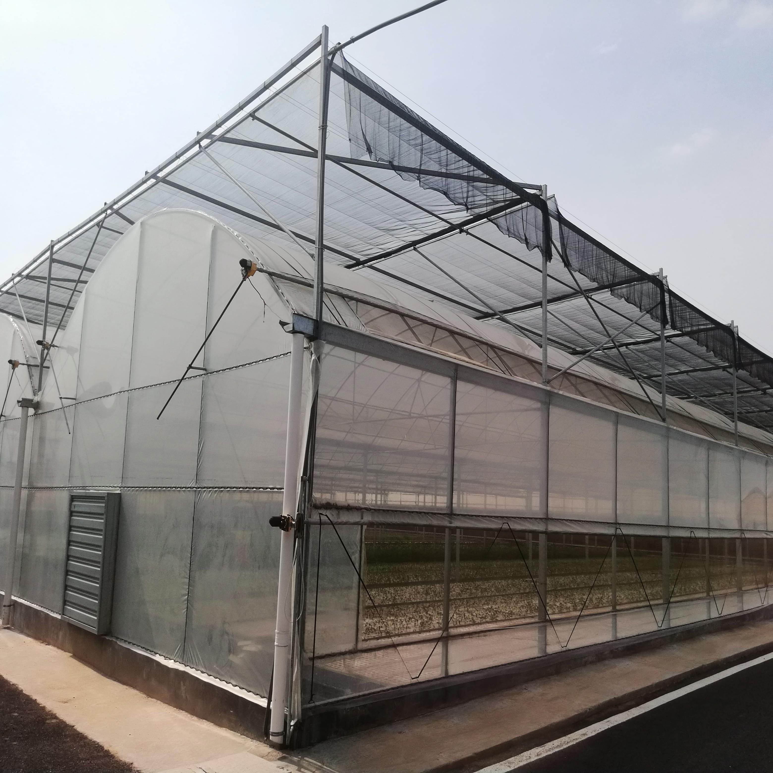 The Cheapest Agricultural/Commercial/Industrial Plastic Film Greenhouse With Complete Systems For Sale