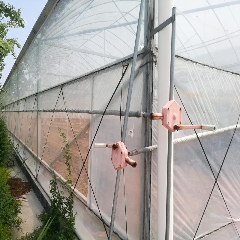 The Cheapest Agricultural/Commercial/Industrial Plastic Film Greenhouse With Complete Systems For Sale