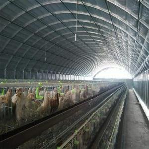 Cheap chicken house poultry, farm steel chicken house building modern poultry house construction chicken coop Greenhouse Hoops