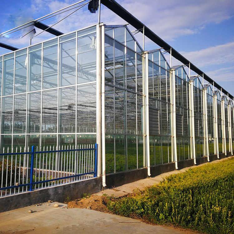 Single Span Film Greenhouse Tunnel Mini Tomato Strawberry Hydroponics Green House For Sale
