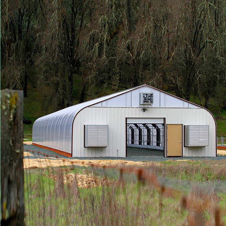 Single Span Film Greenhouse Tunnel Mini Tomato Strawberry Hydroponics Green House For Sale