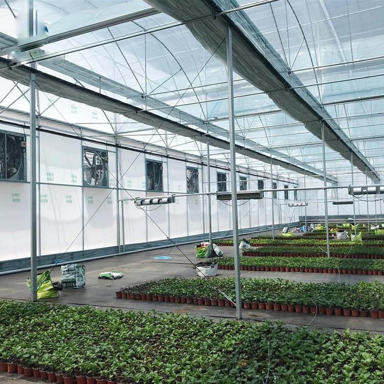 Single Span Film Greenhouse Tunnel Mini Tomato Strawberry Hydroponics Green House For Sale