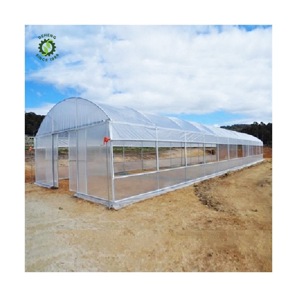 Technology Production High Tunnel Greenhouse For Sale Agricultural Low Cost Economic Tunnel Greenhouse For Vegetables