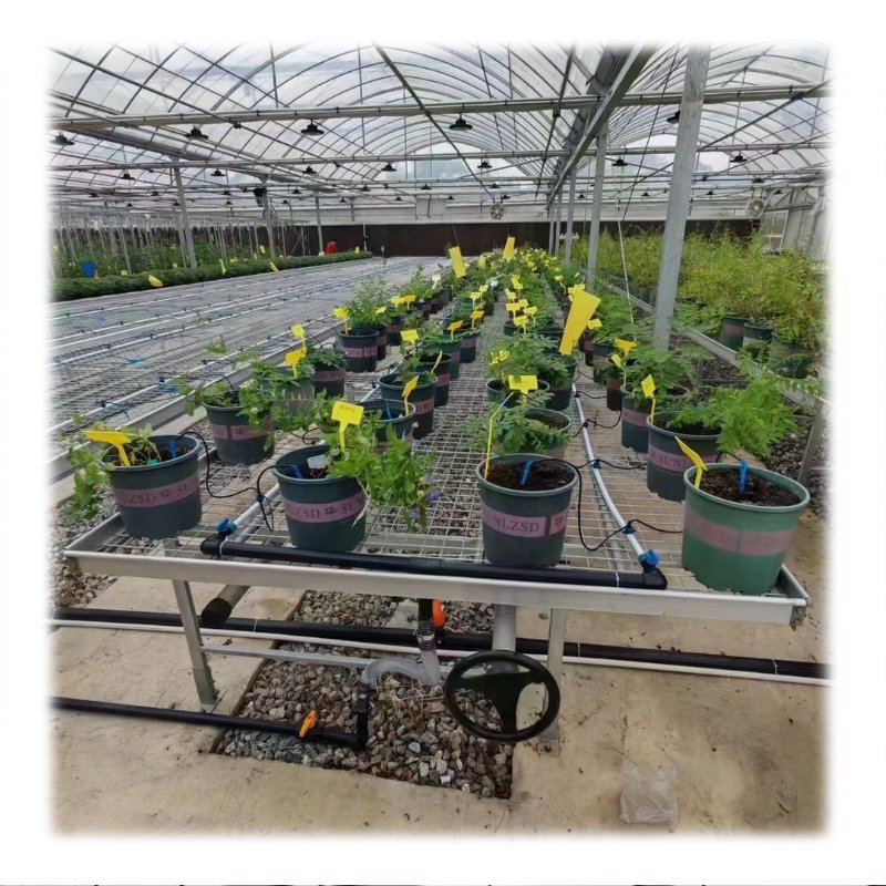 Agriculture poly tunnel greenhouse 24V 100wventilation auto window opener electric film roller winder roll up motor