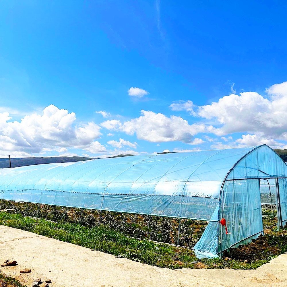 Hoop Agricultural Steel Frame Tunnel Green House Structure Greenhouse