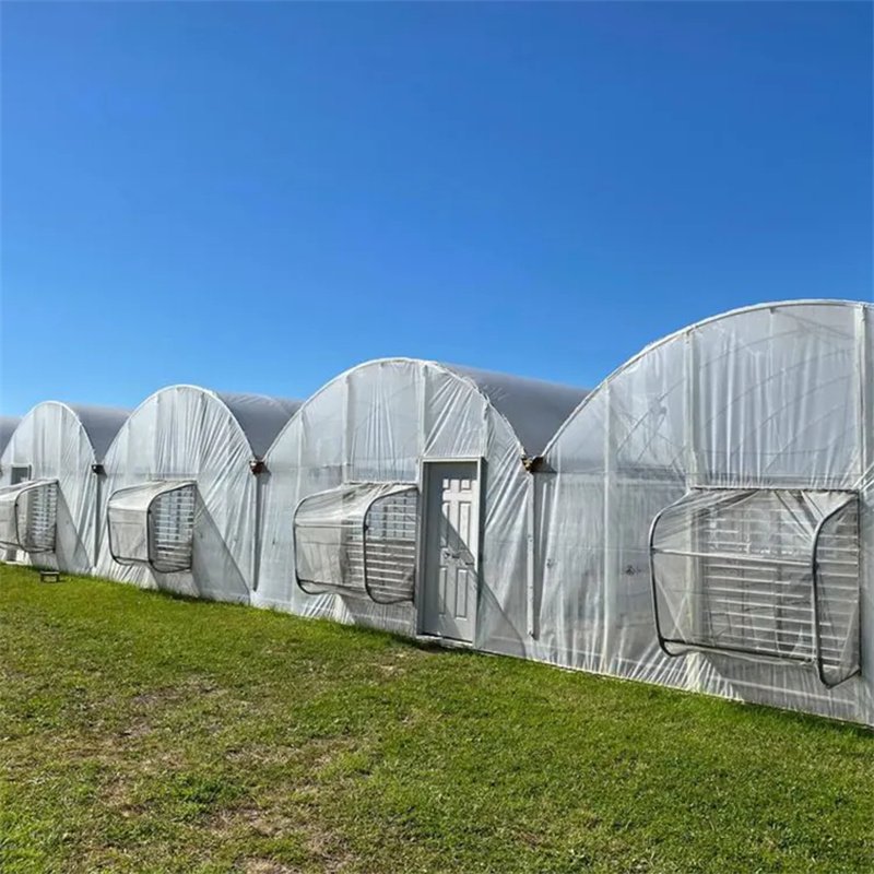 Hoop Agricultural Steel Frame Tunnel Green House Structure Greenhouse