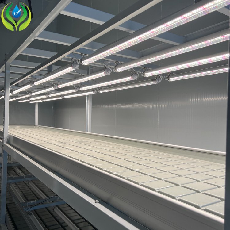 MYXL Ebb And Flow Greenhouse Rolling Benches Indoor Plant Farming Hydroponic Grow Rack