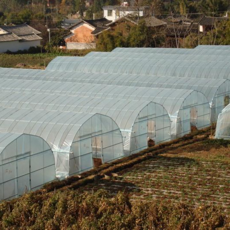 Low Price and High Quantity Multi-Span Agricultural Greenhouses Hydroponics Equipment Glass Greenhouse
