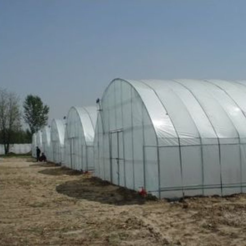 Low Price and High Quantity Multi-Span Agricultural Greenhouses Hydroponics Equipment Glass Greenhouse