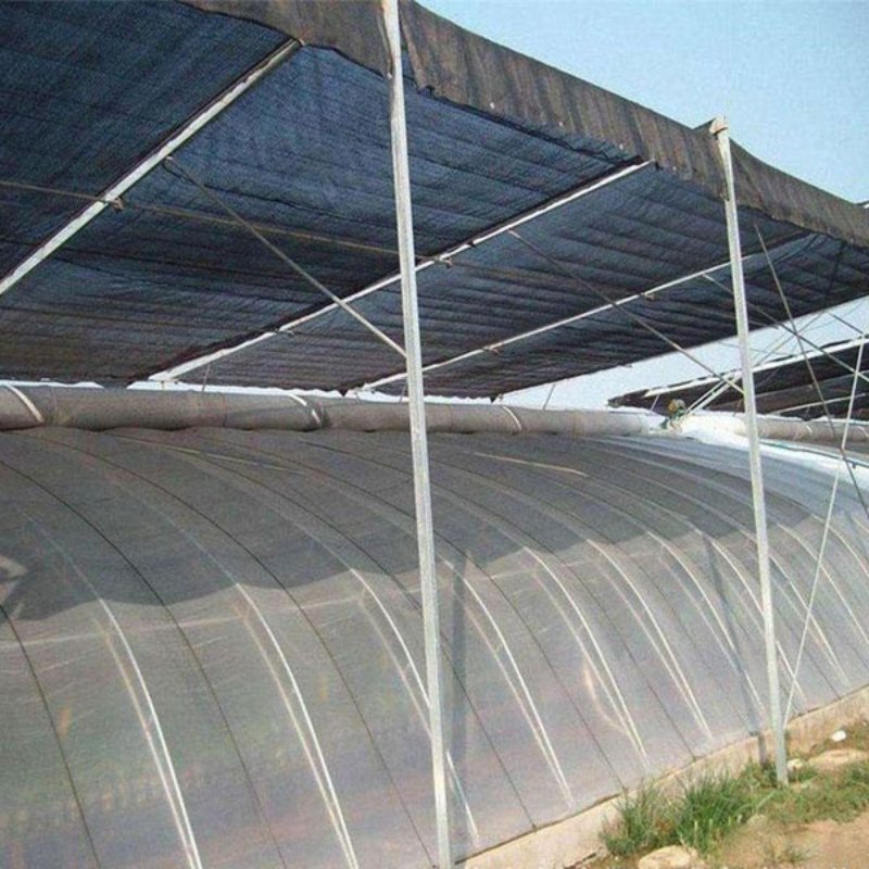 Low Price and High Quantity Multi-Span Agricultural Greenhouses Hydroponics Equipment Glass Greenhouse