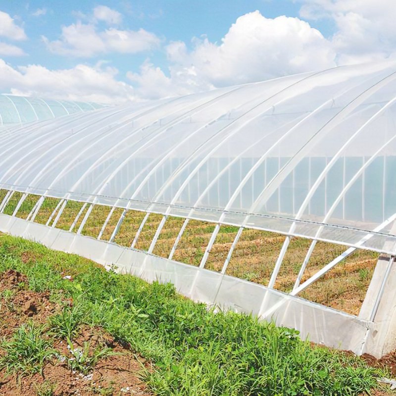 Low Price and High Quantity Multi-Span Agricultural Greenhouses Hydroponics Equipment Glass Greenhouse