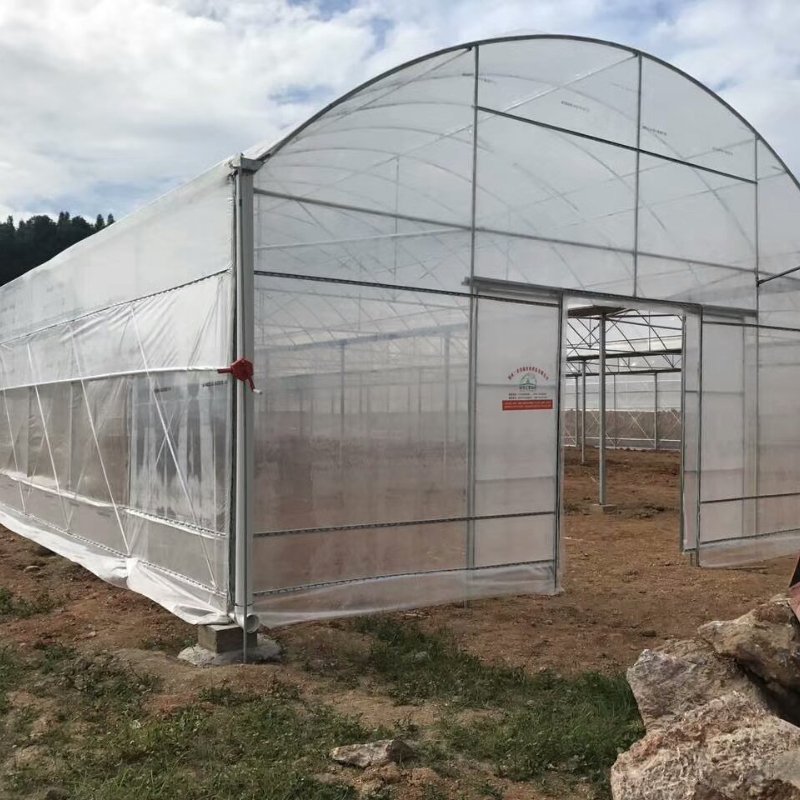 Low Price and High Quantity Multi-Span Agricultural Greenhouses Hydroponics Equipment Glass Greenhouse