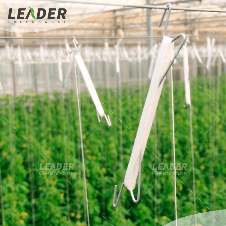 Anti UV agricultural vegetable greenhouse tomato hook pepper support trellis hook hot galvanized steel M hook with 10m twine