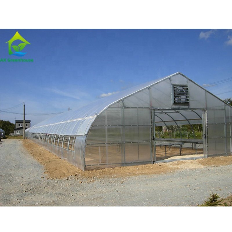 Low cost Large plastic film tunnel Operation greenhouse pre fab And Practicality Can Be Customized commercial green house