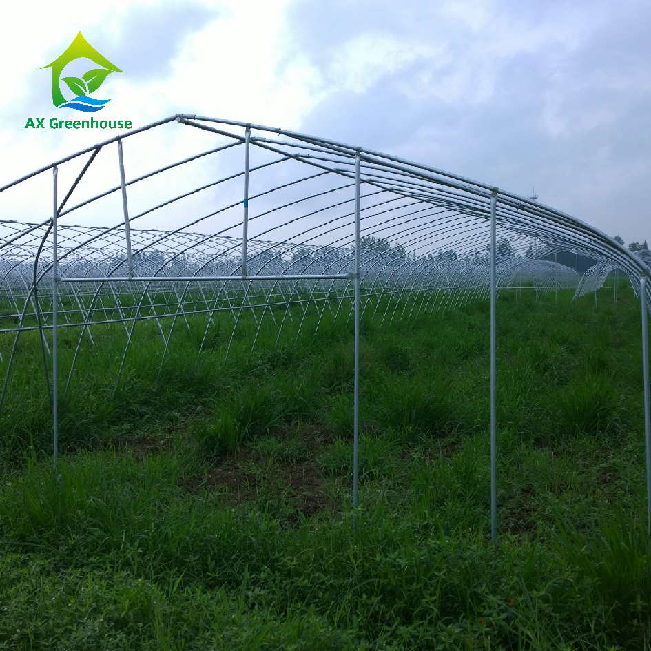 Low cost Large plastic film tunnel Operation greenhouse pre fab And Practicality Can Be Customized commercial green house