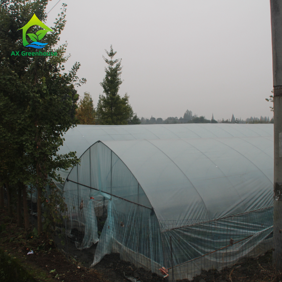 Low cost Large plastic film tunnel Operation greenhouse pre fab And Practicality Can Be Customized commercial green house
