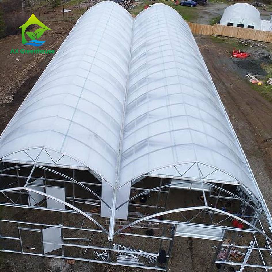 Low cost Large plastic film tunnel Operation greenhouse pre fab And Practicality Can Be Customized commercial green house