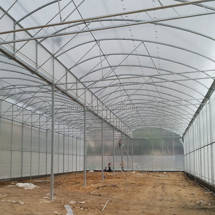 IGreen tunnel strawberry greenhouses for sale price of m2 agricultural greenhouse