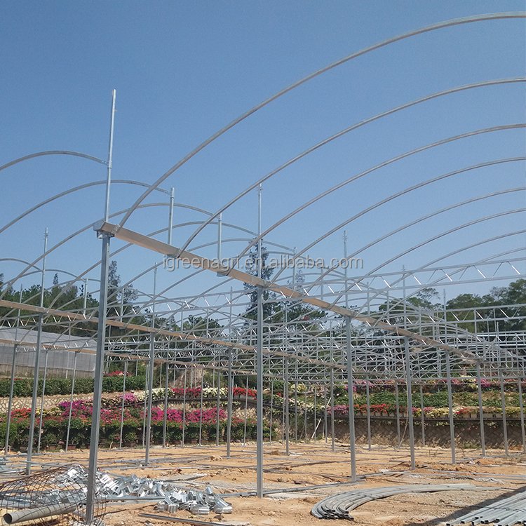 IGreen tunnel strawberry greenhouses for sale price of m2 agricultural greenhouse