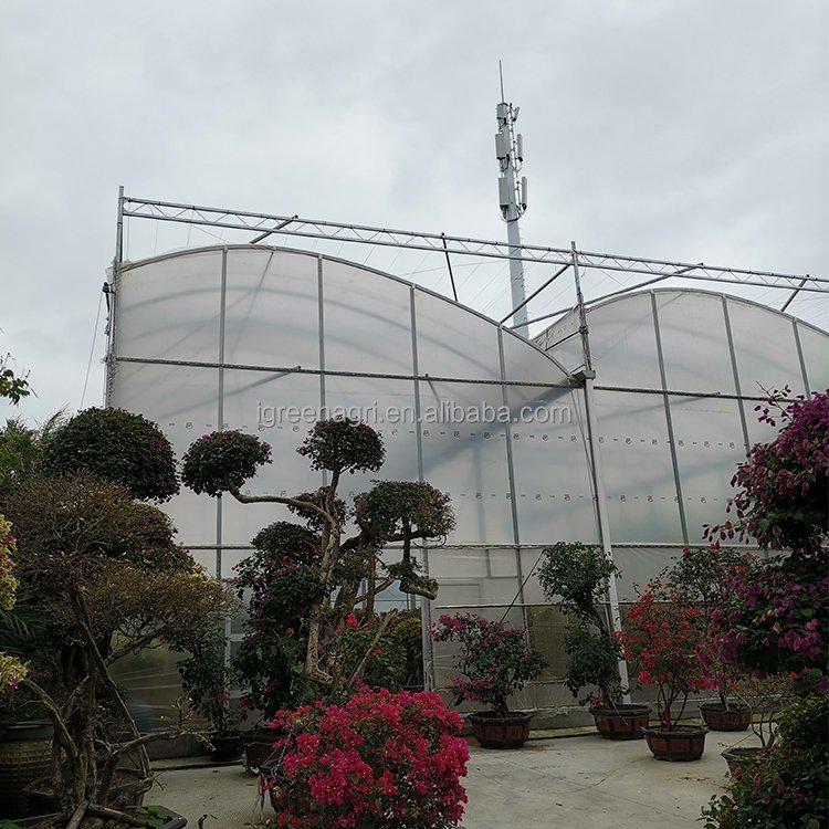 IGreen tunnel strawberry greenhouses for sale price of m2 agricultural greenhouse