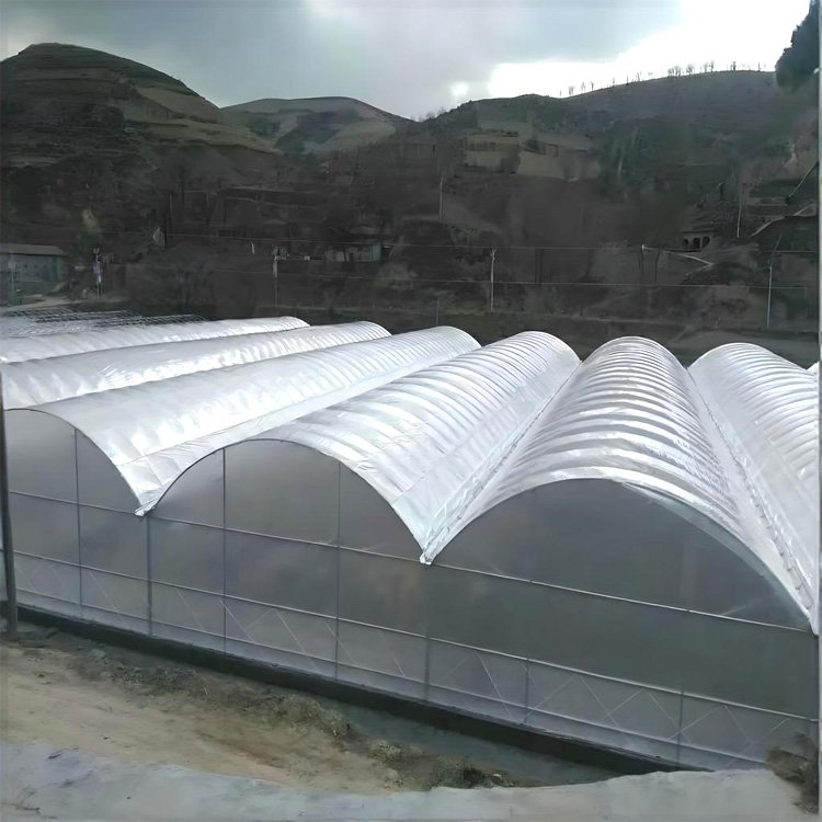 Customized Size Agricultural Plastic Greenhouse Po Film 180 Micron Thickness