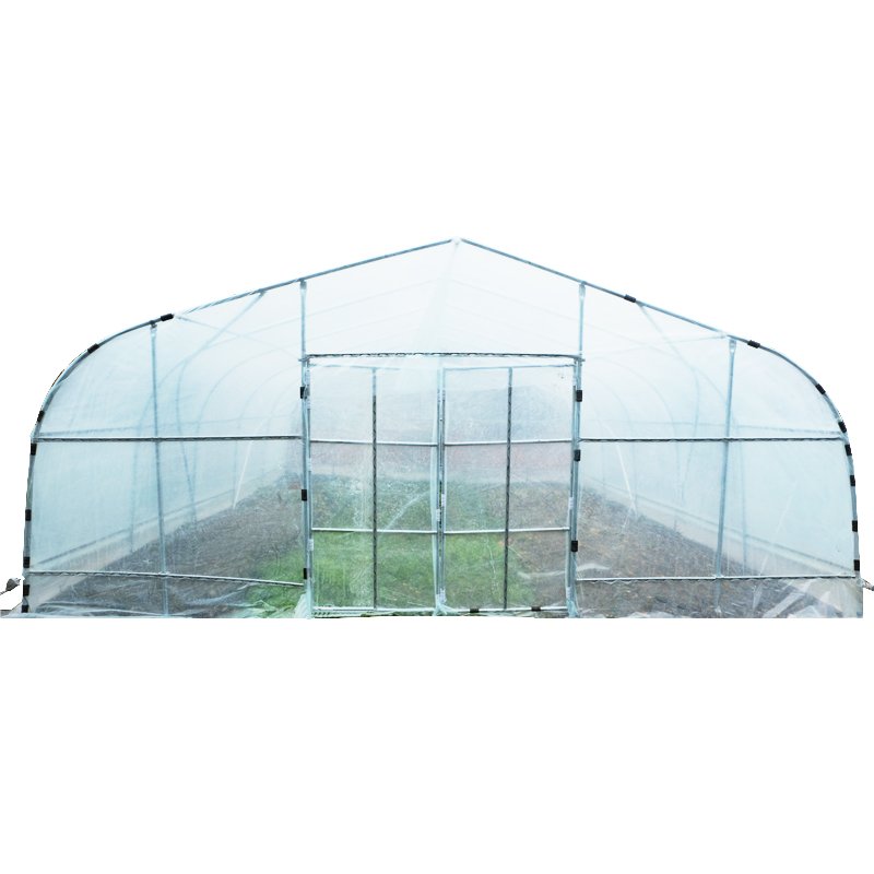 Low Cost Economic Tomato Tunnel Plastic Film Greenhouse for Vegetable