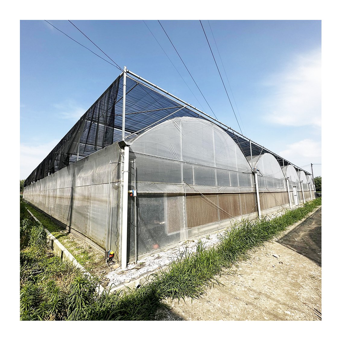 Baolida multi-span agriculture farming hothouse hydroponic greenhouse shelves plastic tomato green house