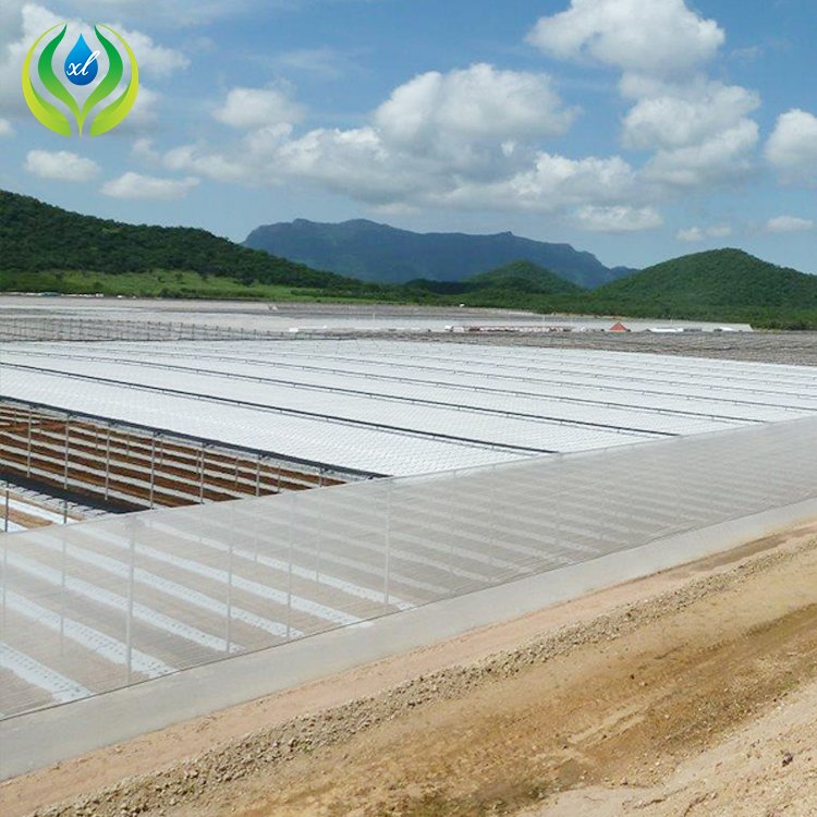 MYXL Commercial HDPE Plastic Cover Tree Greenhouse Flat Roof Retractable Greenhouse For Tree Nursery