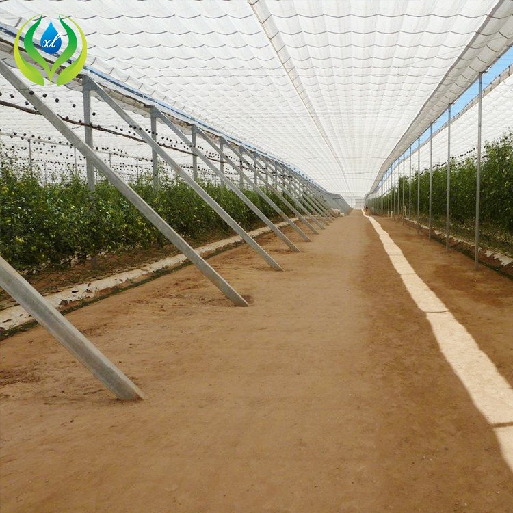 MYXL Commercial HDPE Plastic Cover Tree Greenhouse Flat Roof Retractable Greenhouse For Tree Nursery