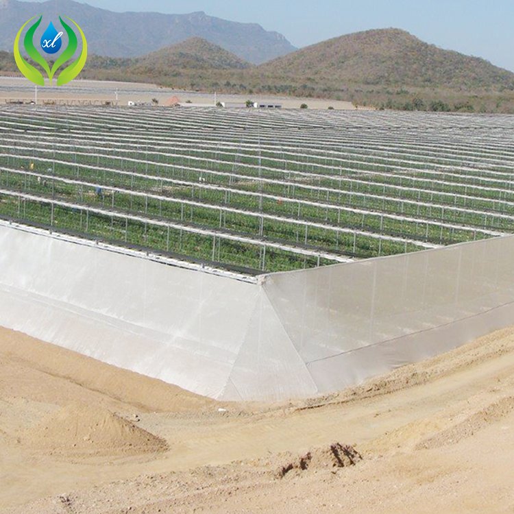 MYXL Commercial HDPE Plastic Cover Tree Greenhouse Flat Roof Retractable Greenhouse For Tree Nursery